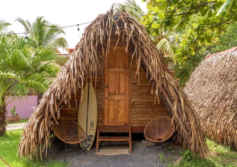 A thatched A-frame tepee with a surfboard by the door and two chairs outside, among palms